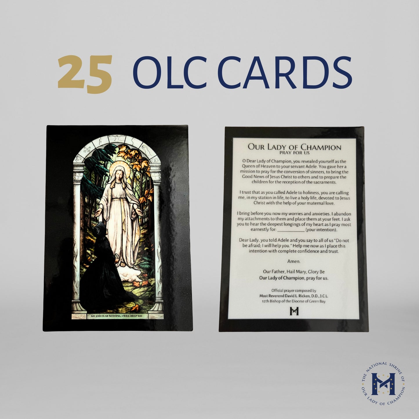 Our Lady of Champion Holy Card 25 pk